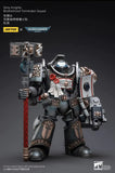 1/18 JOYTOY Action Figure Warhammer Grey Knights Terminator Caddon Vibova Re-issue Version
