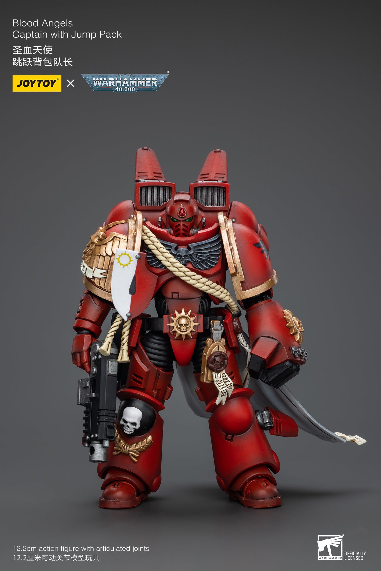Can a sergeant and an intercessor have plasma guns Can a sergeant and an intercessor have plasma guns