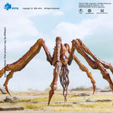 [Pre-Order]HIYA 6inches 16cm Action Figure Exquisite Basic Series Godzilla x Kong The New Empire Scylla