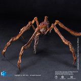 [Pre-Order]HIYA 6inches 16cm Action Figure Exquisite Basic Series Godzilla x Kong The New Empire Scylla