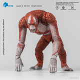 [Pre-Order]HIYA 6inches 16CM Action Figure Exquisite Basic Series Godzilla x Kong The New Empire Skar King