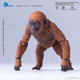 [Pre-Order]HIYA 14inches Action Figure Exquisite Basic Series Godzilla x Kong The New Empire Mothra Premium Set
