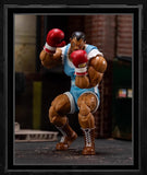 Jada Toys 1/12 6inches Action Figure Ultra Street Fighter II: The Final Challengers Balrog Akuma E. Honda