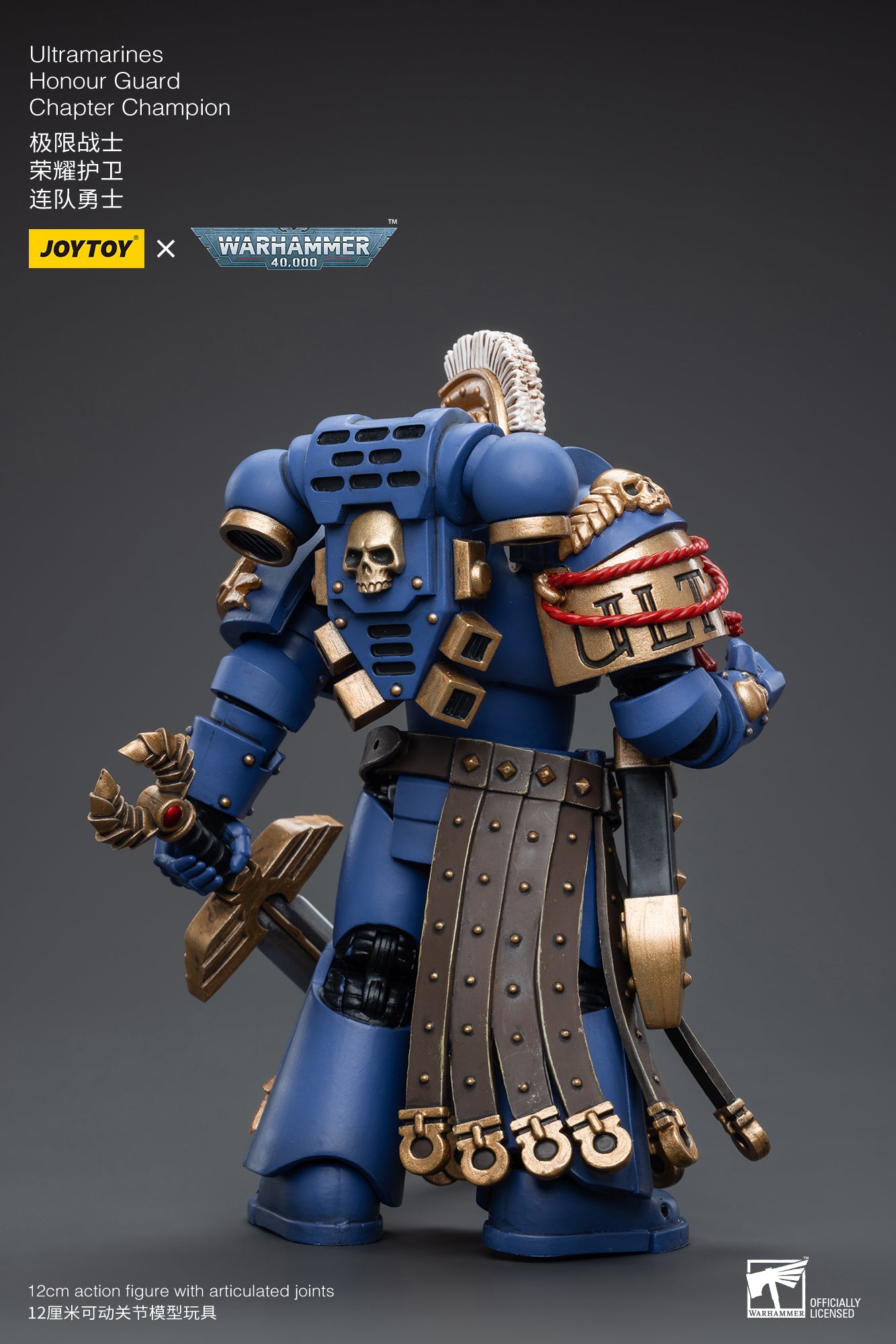 JoyToy Ultramarines Honour Guard Warhammer 40K: Action Figure 1/18, 12 Cm, Con Ascia E Mantello - 3