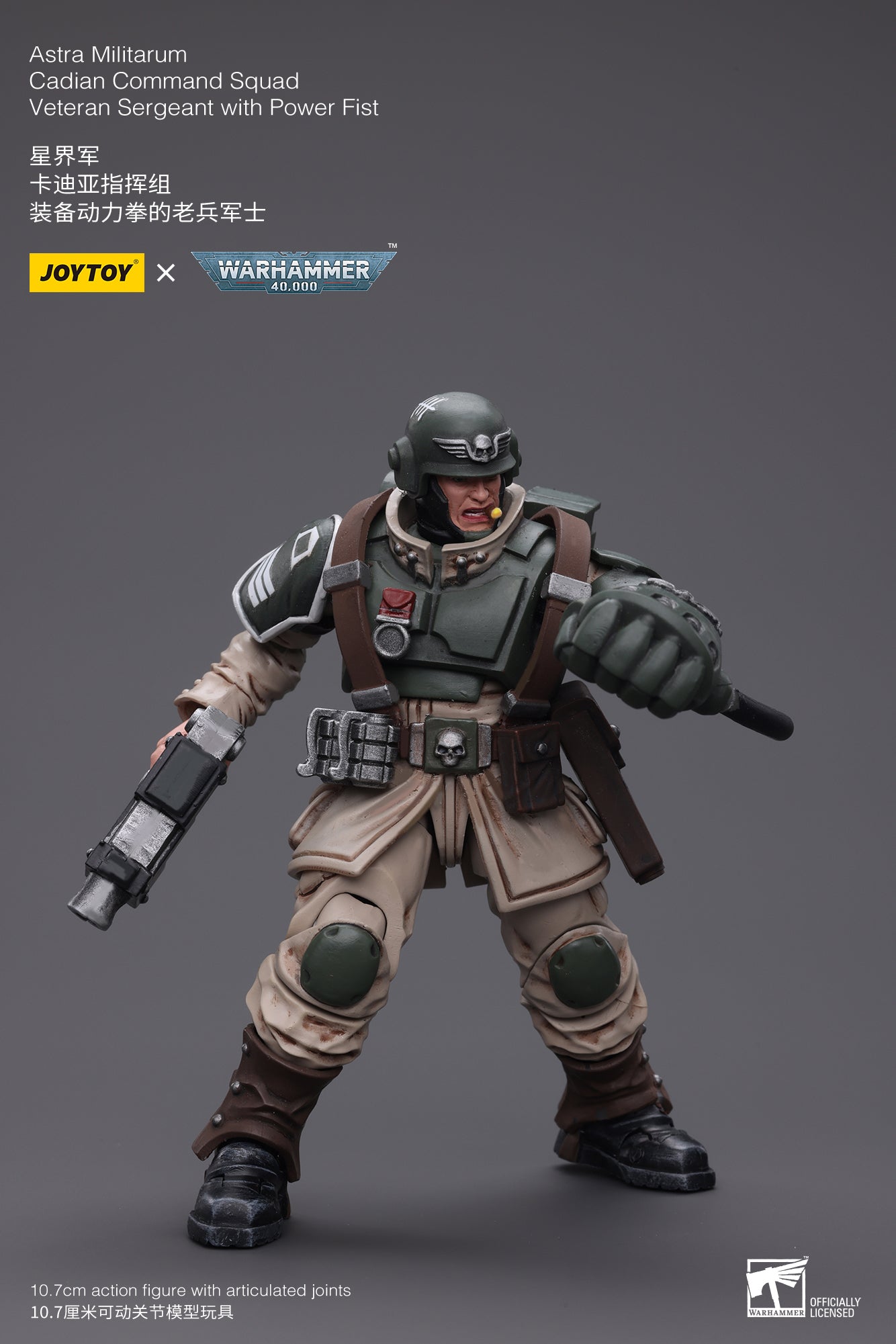 1/18 JOYTOY 3.75inch Action Figure Astra Militarum Cadian Command Squa ...
