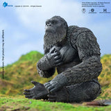 [Pre-Order]HIYA 6inches 16cm Action Figure Exquisite Basic Series Godzilla x Kong The New Empire Godzilla kong