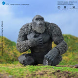 [Pre-Order]HIYA 6inches 16cm Action Figure Exquisite Basic Series Godzilla x Kong The New Empire Godzilla kong