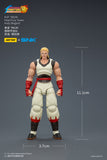 [Pre-Order]1/18 JOYTOY Action Figure SNK KOF '98UM Fatal Fury Team