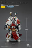 [Pre-Order]JOYTOY Action Figure Warhammer 40K Blood Angels Captain and Sanguinary Priest