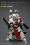 [Pre-Order]JOYTOY Action Figure Warhammer 40K Blood Angels Captain and Sanguinary Priest