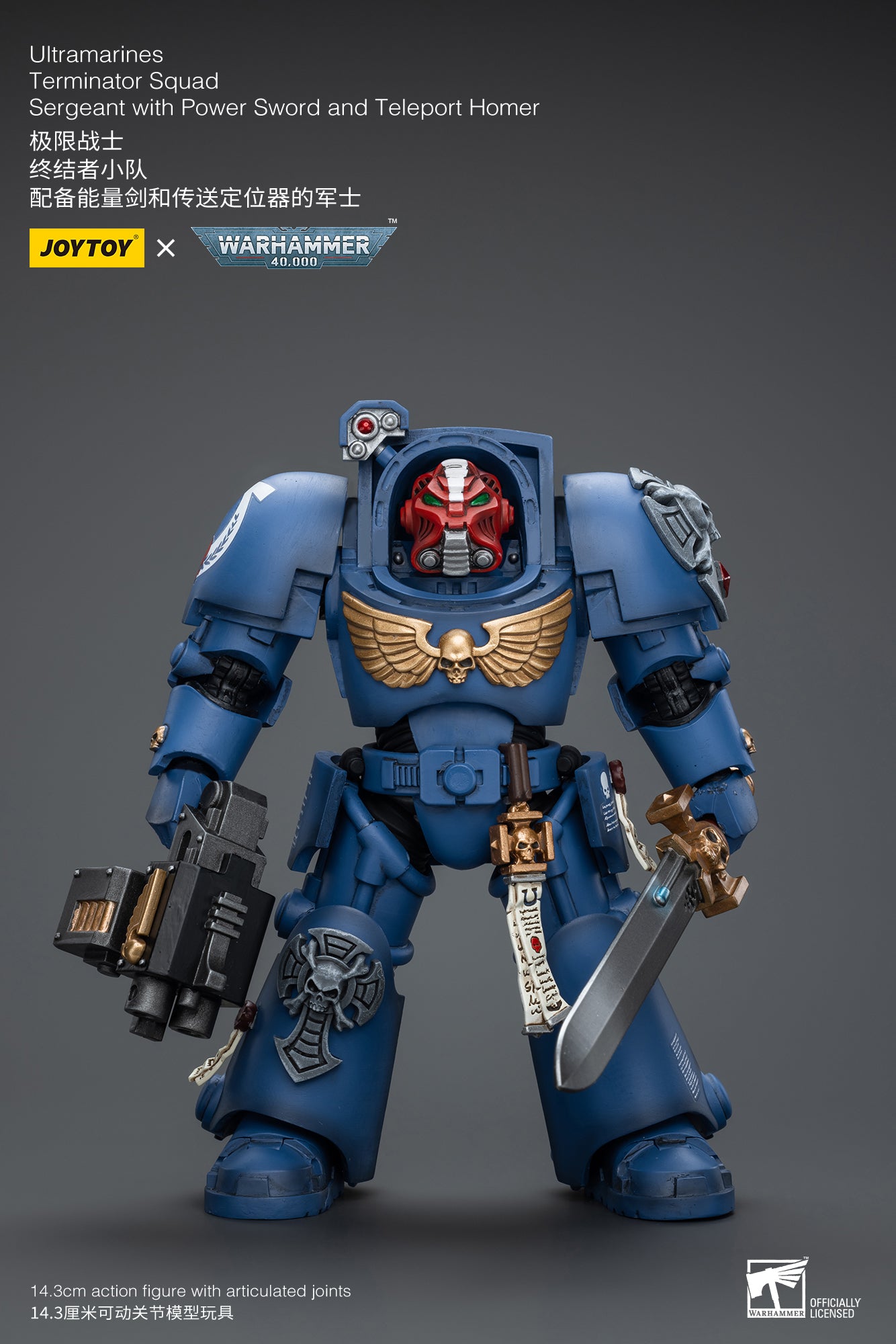 JOYTOY 1/18 Action Figure Warhammer 40k Ultramarines Cataphractii Terminator Squad Sergente con Power Sword Pre-Order 5.3 Regali da collezione, Giocattoli per bambini 15+ e adulti JOYTOY 1/18 Action Figure Warhammer 40k Ultramarines Cataphractii Terminator Squad Sergente con Power Sword Pre-Order 5.3 Regali da collezione, Giocattoli per bambini 15+ e adulti