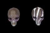 [Pre-Order]Four Horsemen Studio Mythic Legions 1/12 6inches Action Figure Cosmic Legions Dragosyr Greyborn Sphexxian Cosmic Character Pack