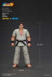 [Pre-Order]1/18 JOYTOY Action Figure SNK KOF'98UM Master Team Takuma Sakazaki Heidern Saisyu Kusanagi