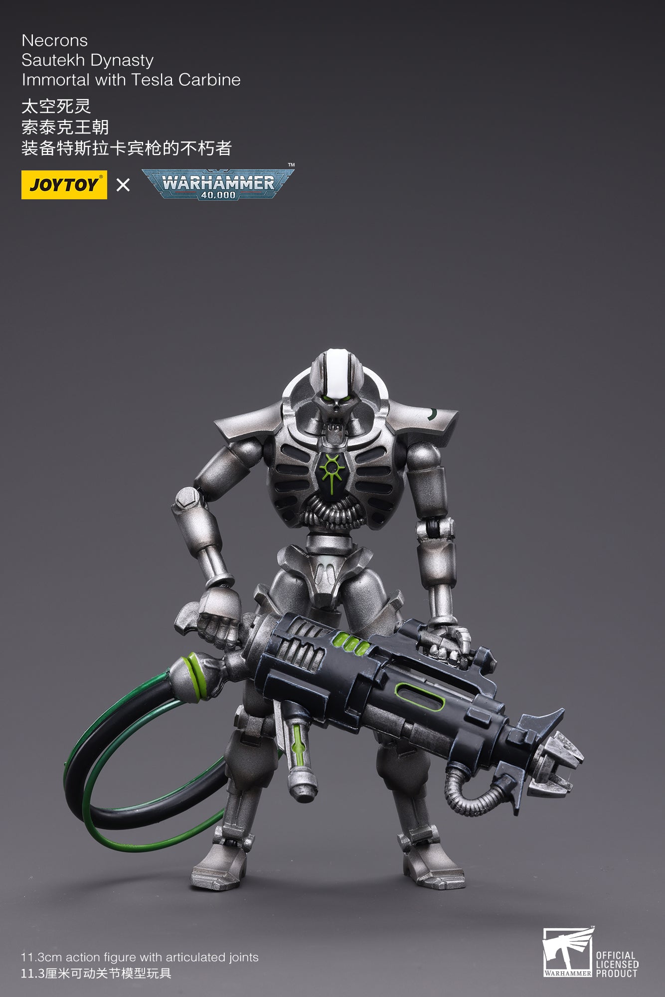 1/18 JOYTOY Action Figure Warhammer Necrons Sautekh Dynasty