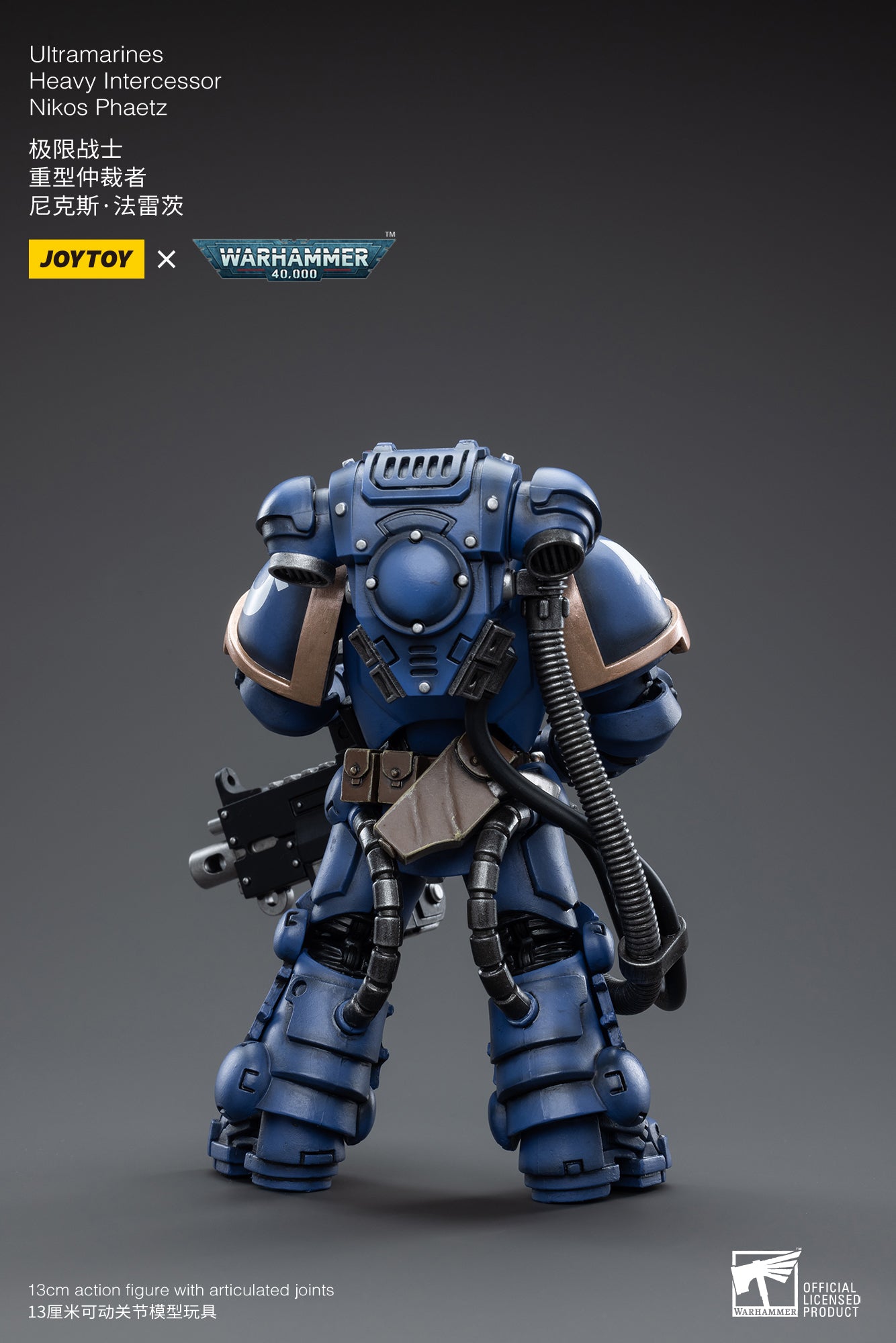 JoyToy Ultramarines - Intercessors 1/18 - Warhammer 40K - Figurine  Collector EURL